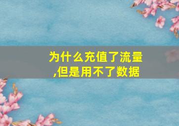 为什么充值了流量,但是用不了数据