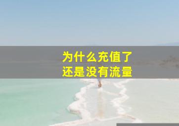 为什么充值了还是没有流量