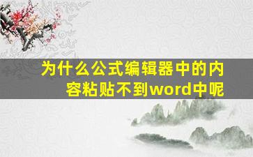 为什么公式编辑器中的内容粘贴不到word中呢