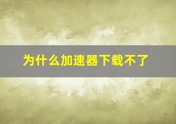 为什么加速器下载不了