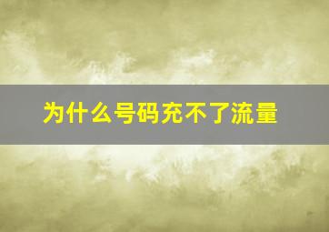 为什么号码充不了流量