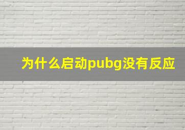 为什么启动pubg没有反应