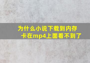 为什么小说下载到内存卡在mp4上面看不到了