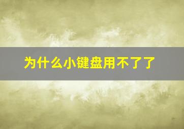 为什么小键盘用不了了