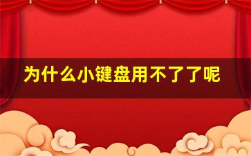 为什么小键盘用不了了呢