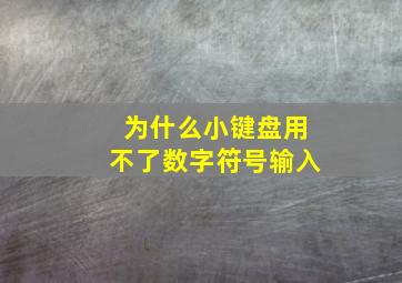 为什么小键盘用不了数字符号输入