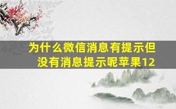 为什么微信消息有提示但没有消息提示呢苹果12