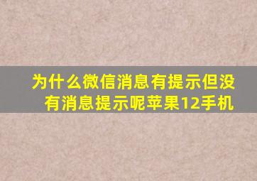 为什么微信消息有提示但没有消息提示呢苹果12手机