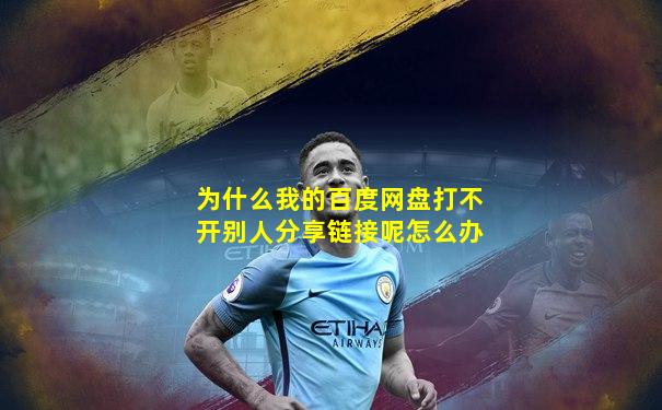 为什么我的百度网盘打不开别人分享链接呢怎么办