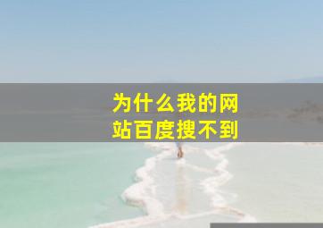 为什么我的网站百度搜不到