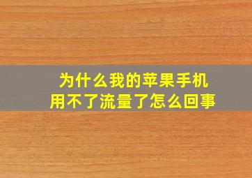 为什么我的苹果手机用不了流量了怎么回事