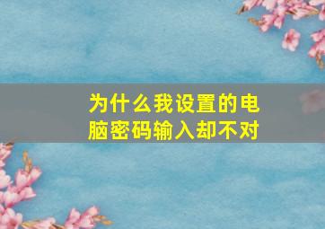 为什么我设置的电脑密码输入却不对