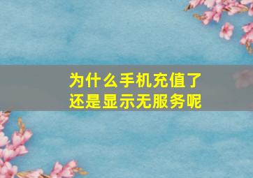 为什么手机充值了还是显示无服务呢