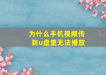 为什么手机视频传到u盘里无法播放