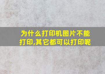 为什么打印机图片不能打印,其它都可以打印呢