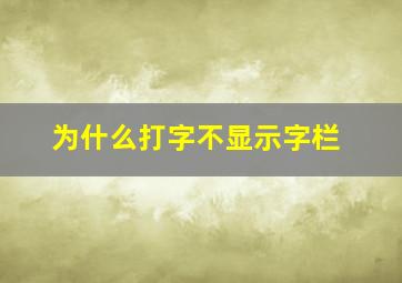 为什么打字不显示字栏