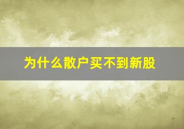 为什么散户买不到新股