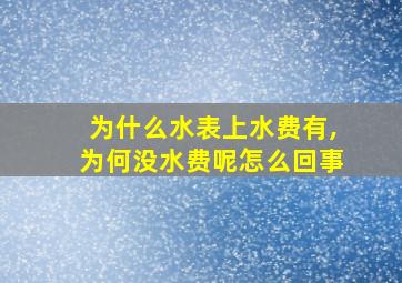 为什么水表上水费有,为何没水费呢怎么回事