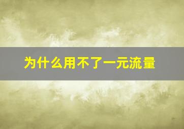 为什么用不了一元流量