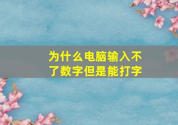 为什么电脑输入不了数字但是能打字