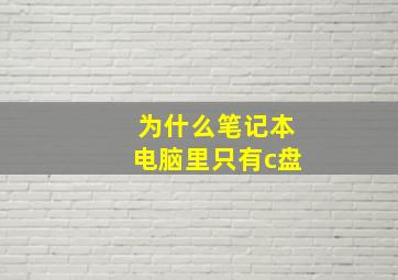 为什么笔记本电脑里只有c盘