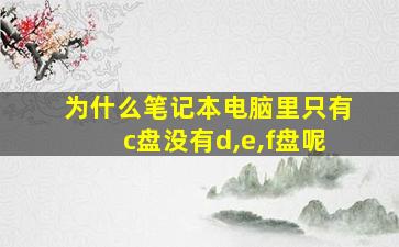 为什么笔记本电脑里只有c盘没有d,e,f盘呢