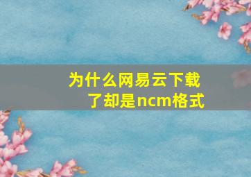 为什么网易云下载了却是ncm格式