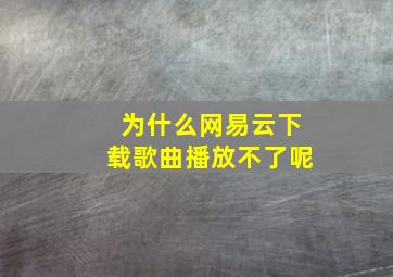 为什么网易云下载歌曲播放不了呢