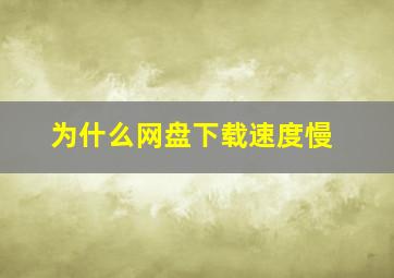 为什么网盘下载速度慢