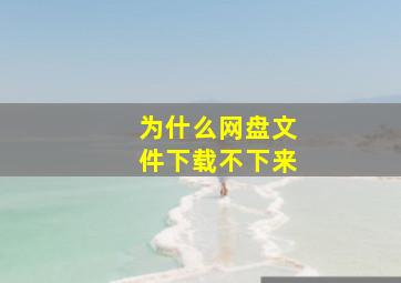 为什么网盘文件下载不下来