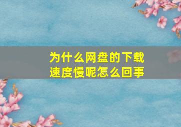 为什么网盘的下载速度慢呢怎么回事