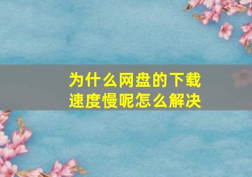 为什么网盘的下载速度慢呢怎么解决