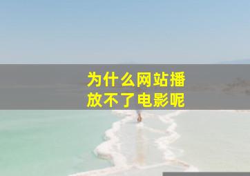 为什么网站播放不了电影呢