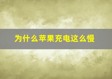 为什么苹果充电这么慢