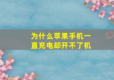 为什么苹果手机一直充电却开不了机