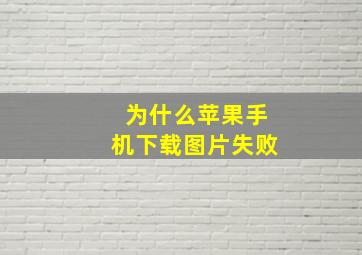 为什么苹果手机下载图片失败