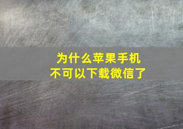 为什么苹果手机不可以下载微信了