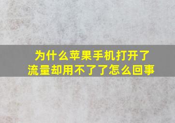 为什么苹果手机打开了流量却用不了了怎么回事