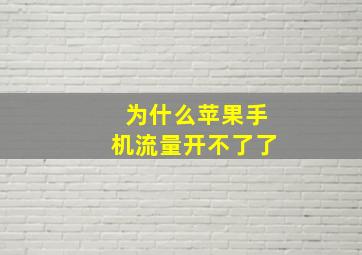 为什么苹果手机流量开不了了