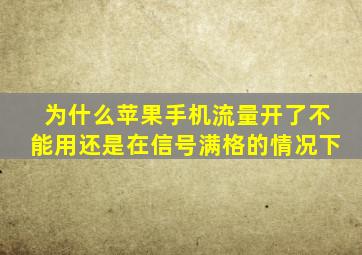 为什么苹果手机流量开了不能用还是在信号满格的情况下