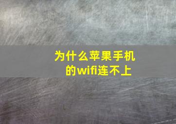 为什么苹果手机的wifi连不上