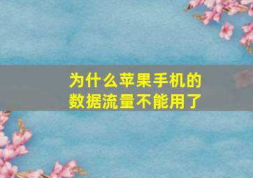 为什么苹果手机的数据流量不能用了