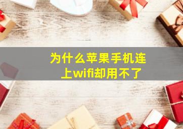 为什么苹果手机连上wifi却用不了