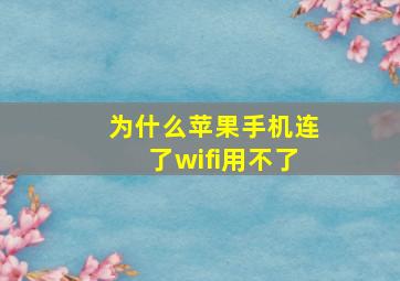 为什么苹果手机连了wifi用不了