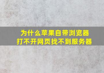 为什么苹果自带浏览器打不开网页找不到服务器