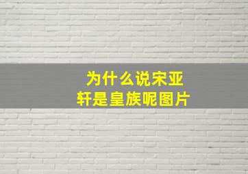 为什么说宋亚轩是皇族呢图片