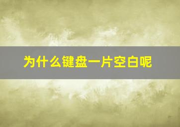 为什么键盘一片空白呢