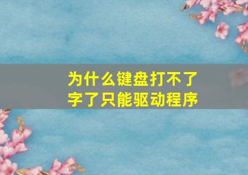 为什么键盘打不了字了只能驱动程序