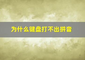 为什么键盘打不出拼音