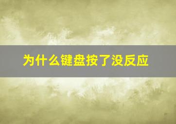 为什么键盘按了没反应